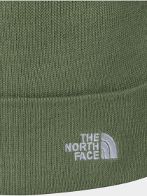Шапка The North Face модель NF0A5FVZBO91 Фото