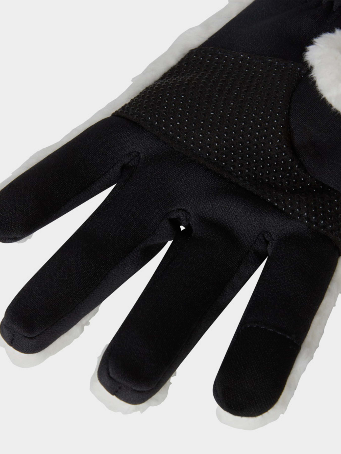 Перчатки The North Face модель NF0A888QQLI1 Фото