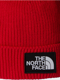 Шапка The North Face модель NF0A8CHE6821 Фото