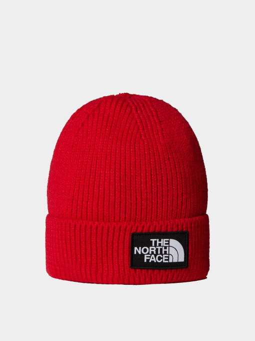 Шапка The North Face модель NF0A8CHE6821 Фото