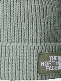 Шапка The North Face модель NF0A8CHED5M1 Фото