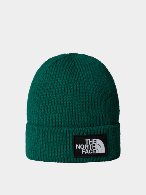 Шапка The North Face модель NF0A8CHENL11 Фото