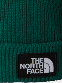 Шапка The North Face модель NF0A8CHENL11 Фото