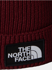 Шапка The North Face Logo Box модель NF0A8CHF0VO1 Фото