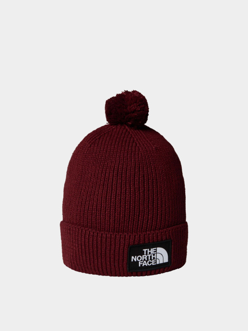 Шапка The North Face Logo Box модель NF0A8CHF0VO1 Фото