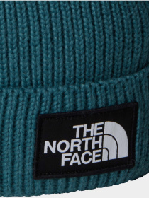 Шапка The North Face модель NF0A8CHFBQ51 Фото