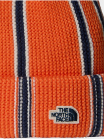 Шапка The North Face модель NF0A8CHKFIC1 Фото