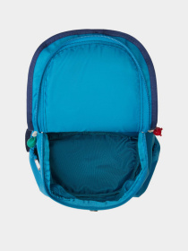 Повсякденний рюкзак The North Face Mini Explorer 10L модель NF0A52VWDIA1 Фото