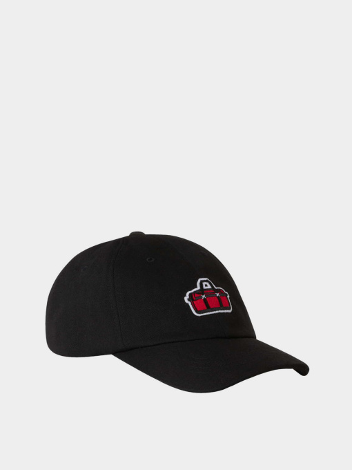 The North Face модель NF0A7WHONIJ1 Фото