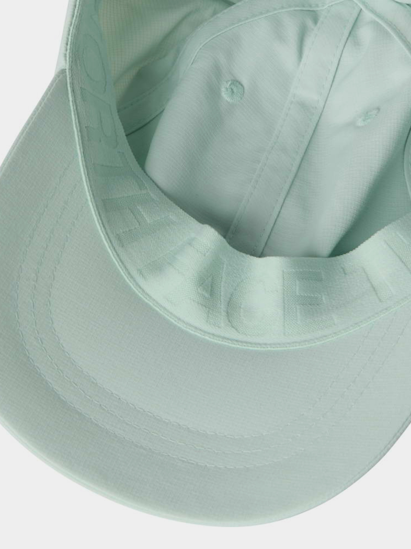 The North Face модель NF0A8CQ1G701 Фото