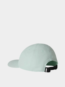 The North Face модель NF0A8CQ1G701 Фото