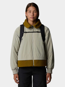 The North Face NF0A81DW4H01 модель NF0A81DW4H01 Фото