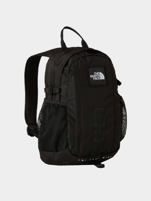 The North Face модель NF0A8GJJJK31 Фото