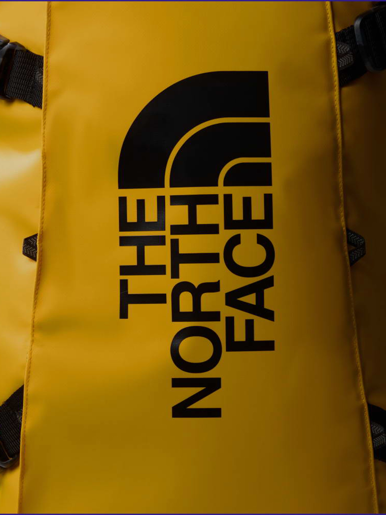 The North Face NF0A87GC4WP1 модель NF0A87GC4WP1 Фото