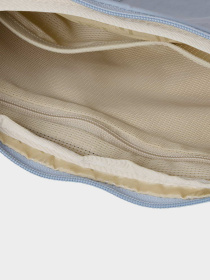 Сумка The North Face W NEVER STOP CROSSBODY модель NF0A81DSFM21 Фото