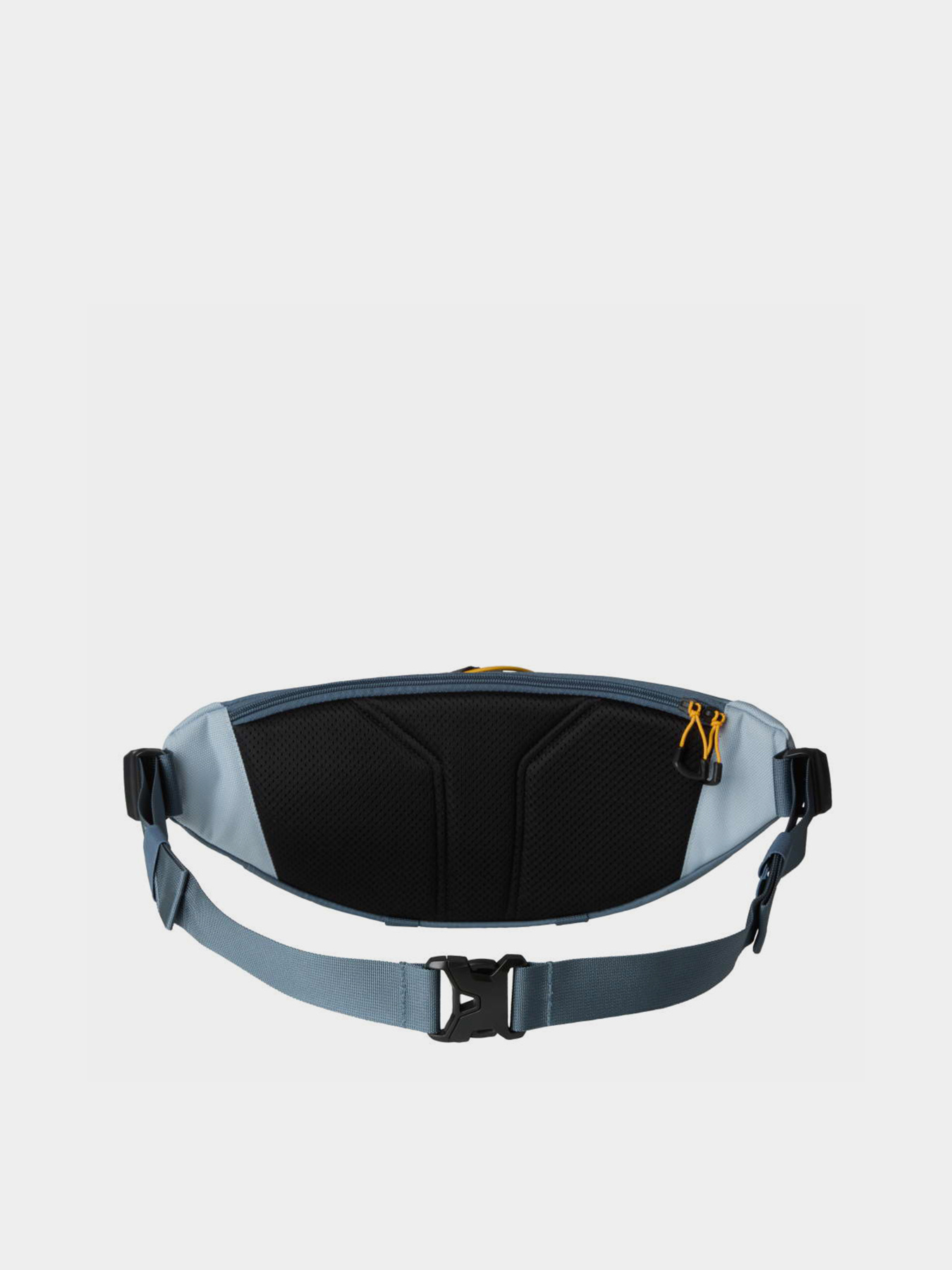 Поясна сумка The North Face TERRA LUMBAR 6L модель NF0A81ENNOV1 Фото