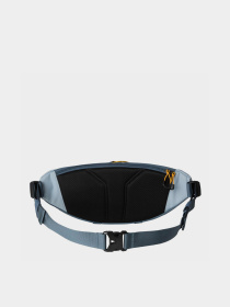 Поясна сумка The North Face TERRA LUMBAR 6L модель NF0A81ENNOV1 Фото