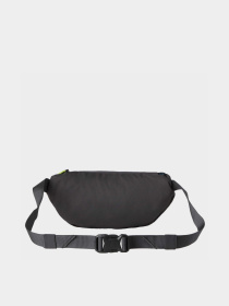Поясная сумка The North Face JESTER LUMBAR модель NF0A52TMMSO1 Фото