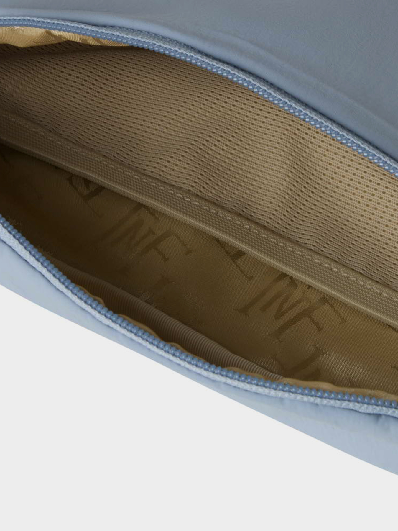 Поясна сумка The North Face W NEVER STOP LUMBAR модель NF0A81DUFM21 Фото