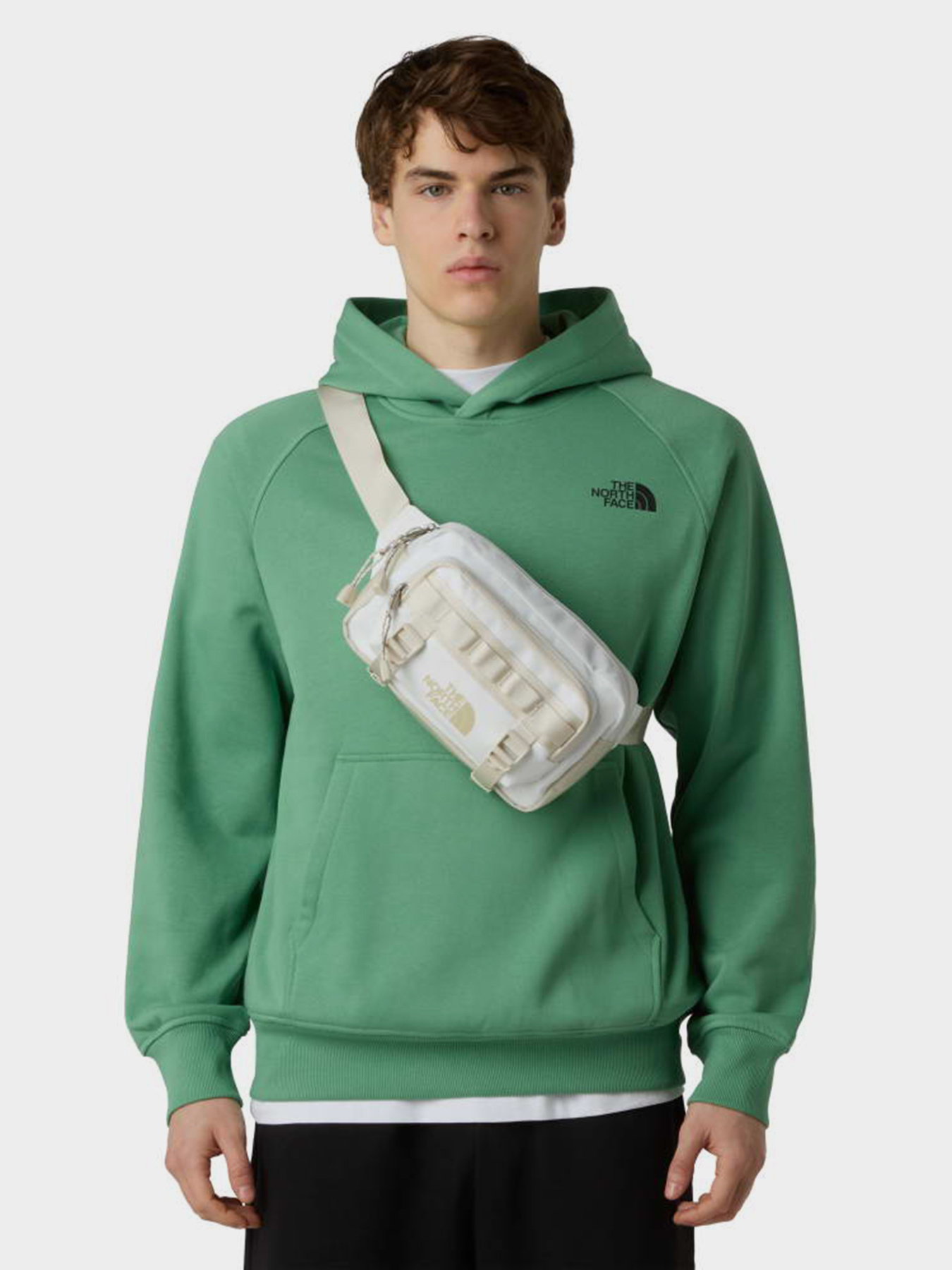 Поясна сумка The North Face BASE CAMP LUMBAR модель NF0A8BK5N8V1 Фото