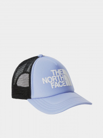 Кепка The North Face Youth Logo модель NF0A3SIIW231 Фото