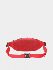 Поясная сумка The North Face LUMBNICAL - S модель NF0A3S7ZYTF1 Фото