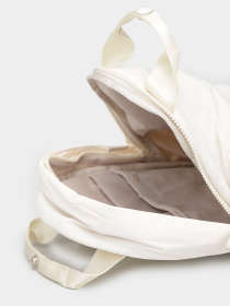 Рюкзаки The North Face Never Stop Mini модель NF0A52T31511 Фото