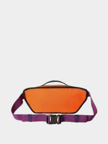 Поясная сумка The North Face BOZER HIP PACK III - L модель NF0A52RW1S01 Фото