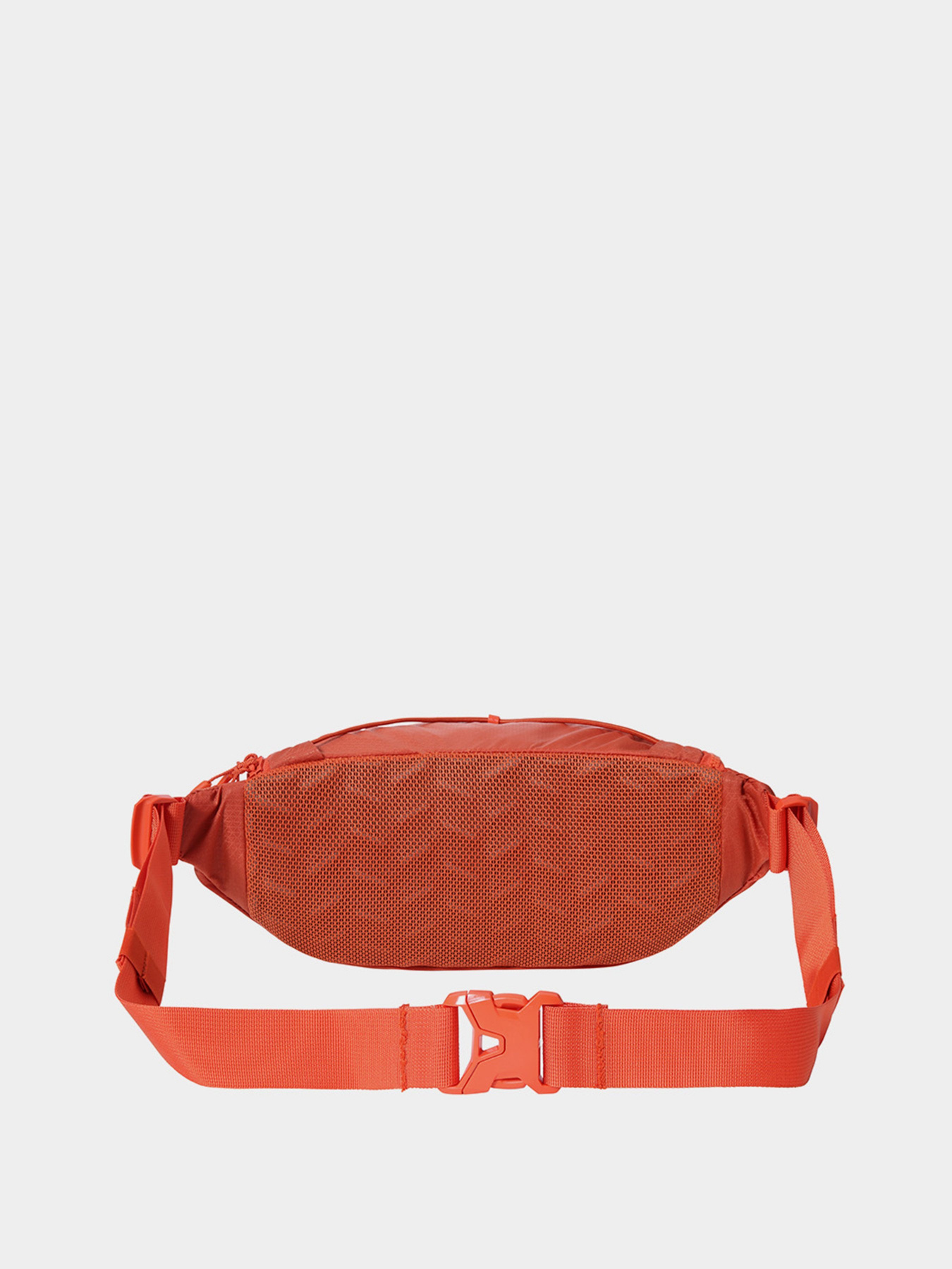 Поясная сумка The North Face Lumbnical модель NF0A3S7Z26Z1 Фото