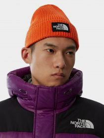Шапка The North Face Logo Box Cuffed Beanie модель NF0A3FJXA6M1 Фото
