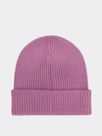 Шапка The North Face Logo Box Cuffed Beanie модель NF0A3FJX0H51 Фото