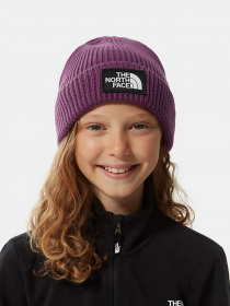 Шапка The North Face Youth TNF™ Logo Box Cuffed Beanie модель NF0A3FMV0H51 Фото