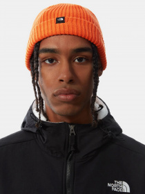 Шапка The North Face Short Fisherman модель NF0A55JGA6M1 Шапка The North Face Short Fisherman модель NF0A55JGA6M1 Фото