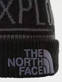 Шапка The North Face Retro TNF™ Pom Beanie модель NF0A3FMPF9L1 Фото