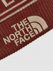 Шапка The North Face Retro TNF™ Pom Beanie модель NF0A3FMP1U21 Фото