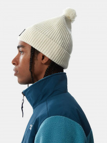 Шапка The North Face Logo Box Pom Beanie модель NF0A3FN311P1 Фото