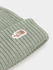 Шапка The North Face Salty Dog Beanie модель NF0A3FJWV1T1 Фото