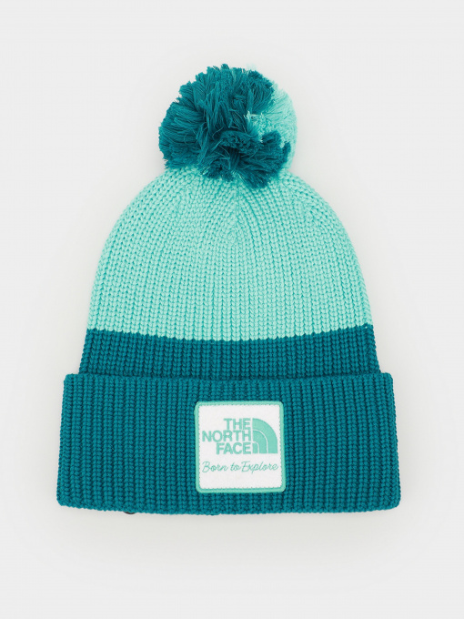 Шапка The North Face Heritage модель NF0A55L41W11 Фото