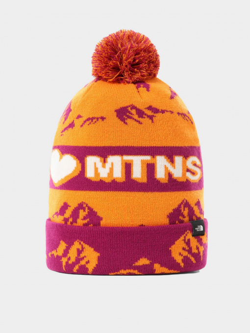 Шапка The North Face Ski Tuke модель NF0A4SIE0WY1 Фото