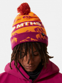 Шапка The North Face Ski Tuke модель NF0A4SIE0WY1 Фото