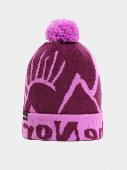 Шапка The North Face Kids' Ski Tuke Beanie модель NF0A4VSXEPK1 Фото