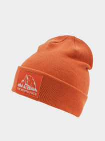 Шапка The North Face Dock Worker Recycled Beanie модель NF0A3FNTV3S1 Фото