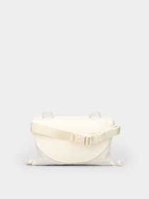 Поясная сумка The North Face Never Stop Alt Carry модель NF0A52T21511 Фото