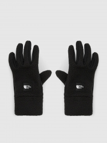 Перчатки The North Face Fleeski Etip модель NF0A3SJ4JK31 Фото