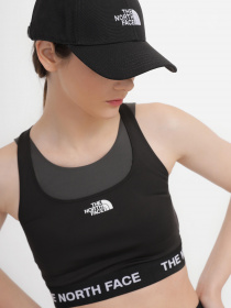 Кепка The North Face '66 модель NF0A4VSVKY41 Фото