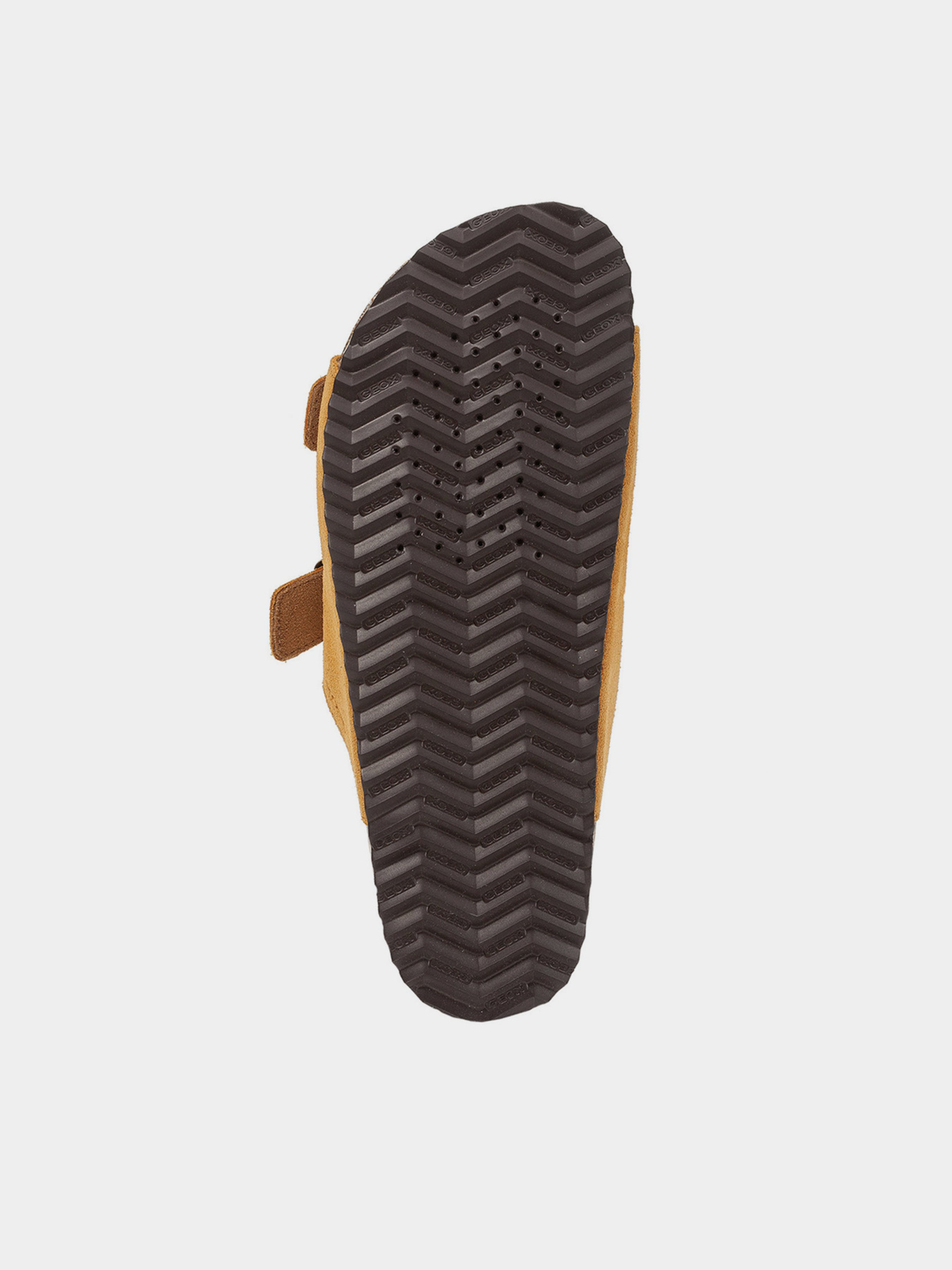 Шлепанцы Geox Brionia модель D15LSO-00022-C2021 Фото