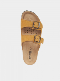 Шлепанцы Geox Brionia модель D15LSO-00022-C2021 Фото