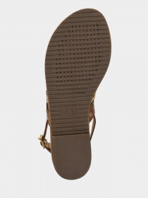 Шлепанцы Geox Sozy модель D15LXI-000LT-C6239 Шлепанцы Geox Sozy модель D15LXI-000LT-C6239 Фото