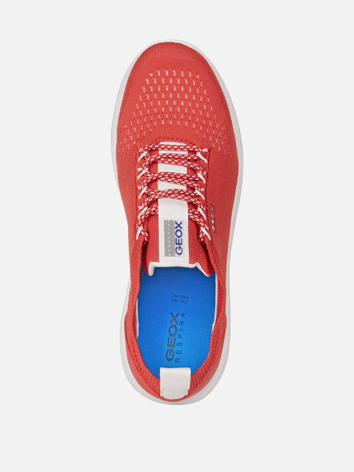 Кроссовки Geox Spherica модель D15NUA-0006K-C7000 Фото