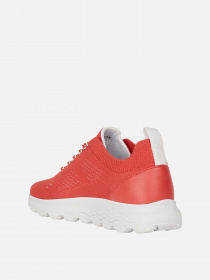 Кросівки повсякденні Geox Spherica модель D15NUA-0006K-C7000 Фото